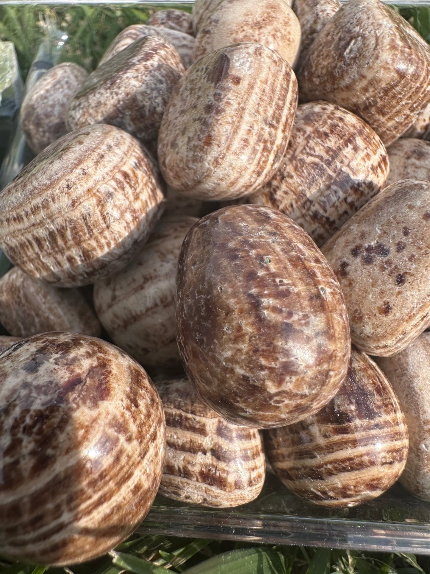 Aragonite (tumbled) - Celestial Wallflower