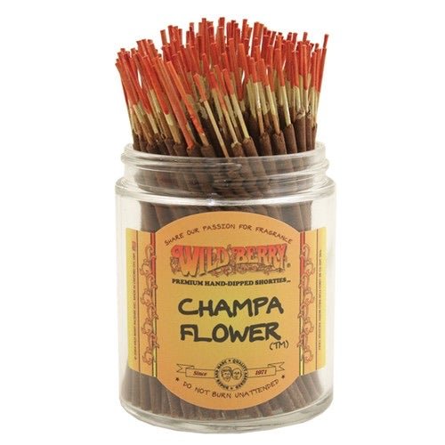 Champa Flower™ Shorties™ - Celestial Wallflower