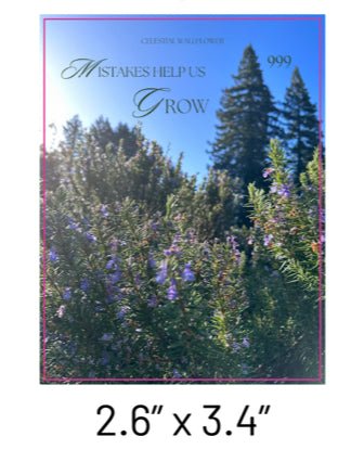 "Mistakes help us grow" 999 Sticker - Celestial Wallflower