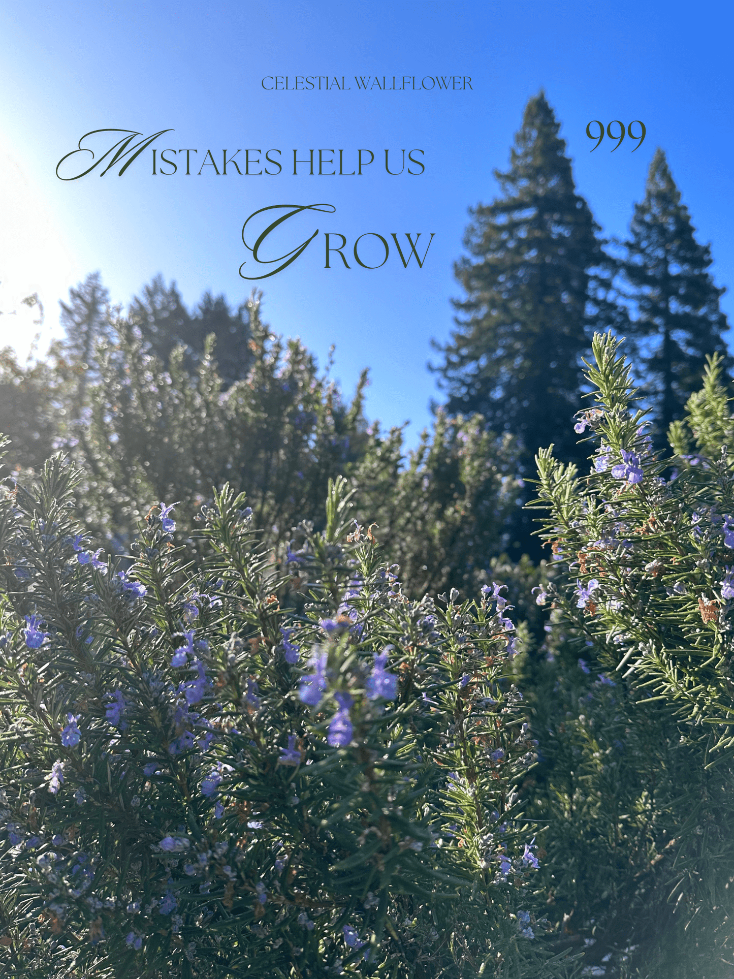"Mistakes help us grow" 999 Sticker - Celestial Wallflower