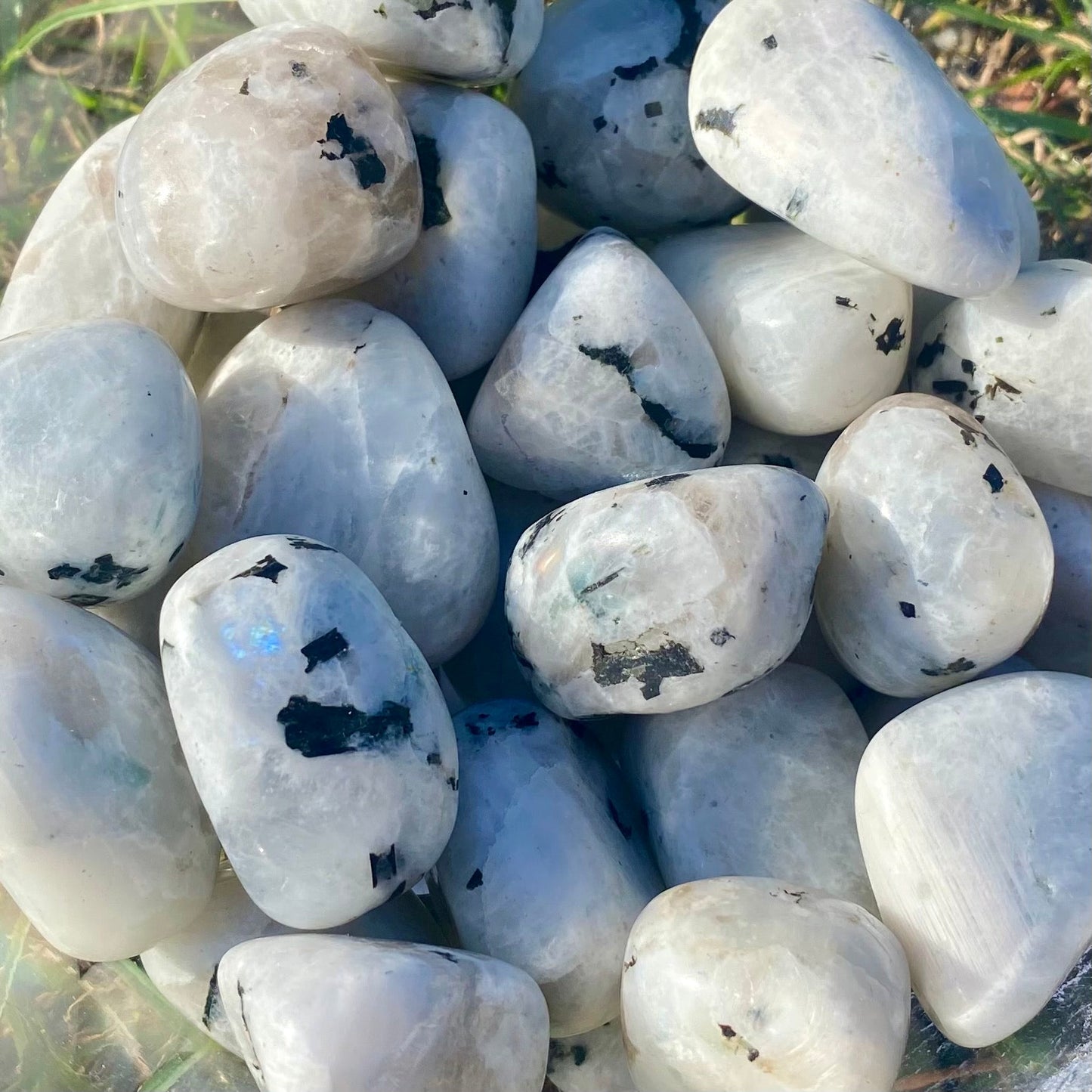 Rainbow Moonstone - Celestial Wallflower