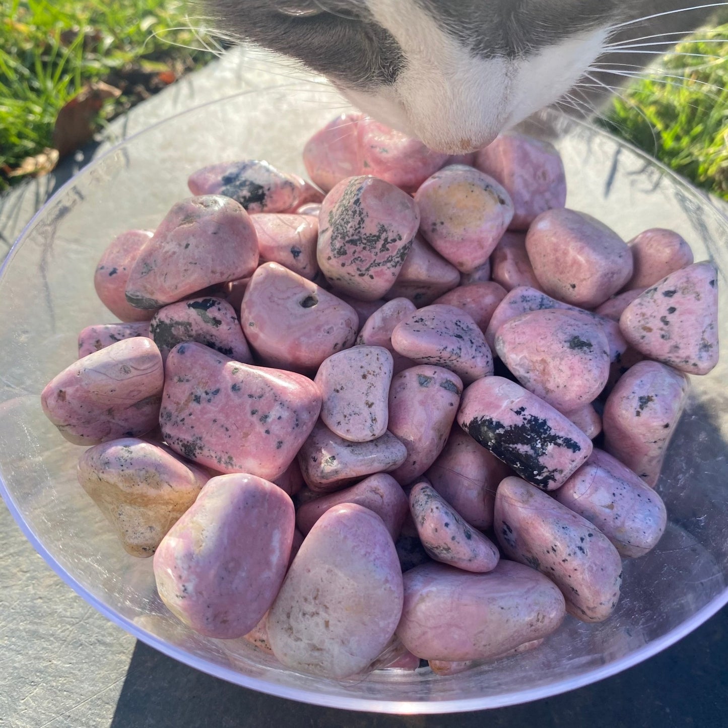 Rhodonite (tumbled) - Celestial Wallflower