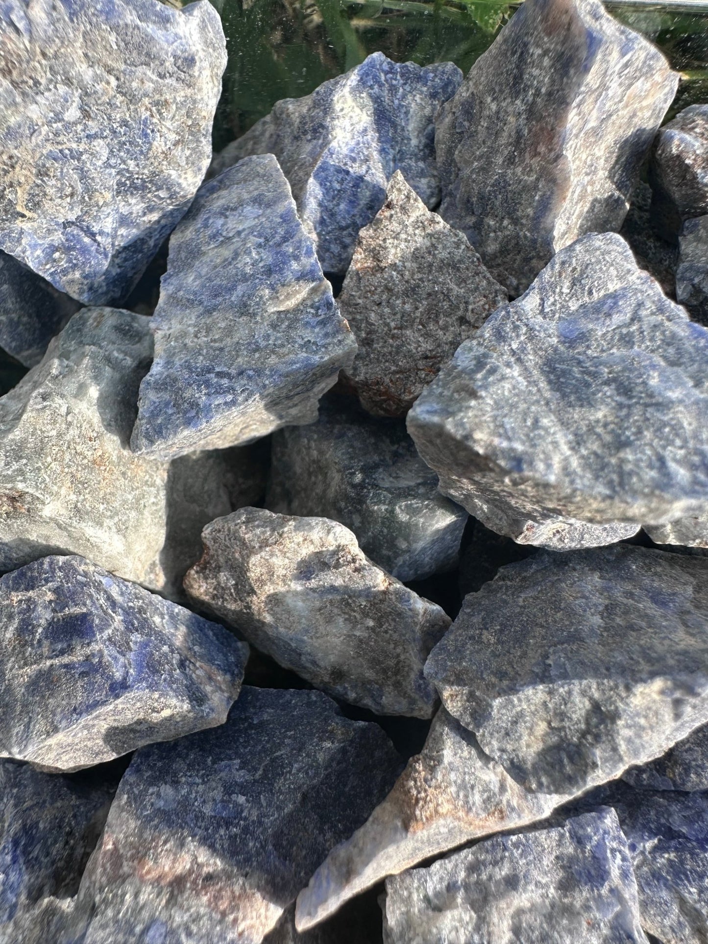 Sodalite (rough) - Celestial Wallflower
