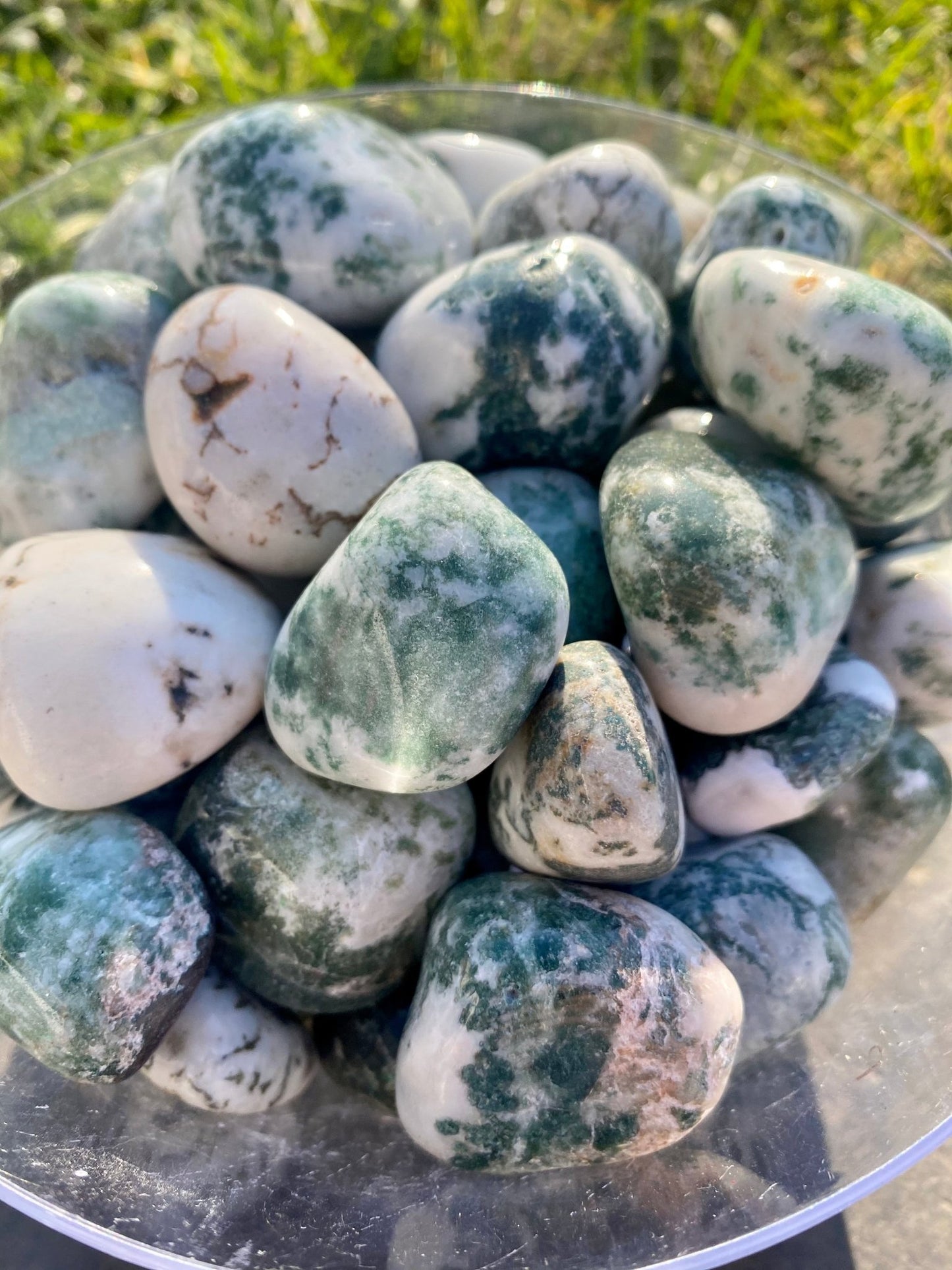 Tree Agate - Celestial Wallflower