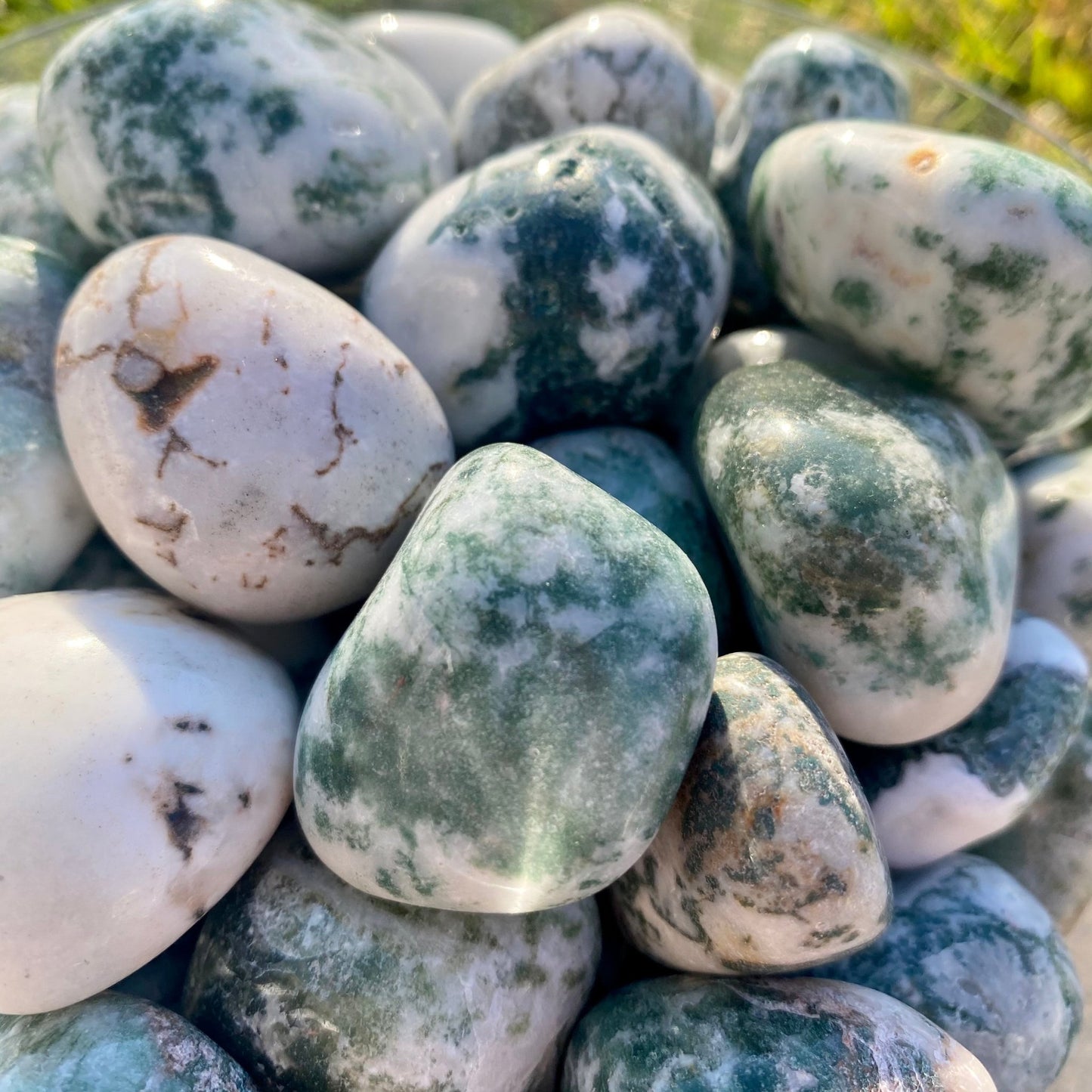 Tree Agate - Celestial Wallflower