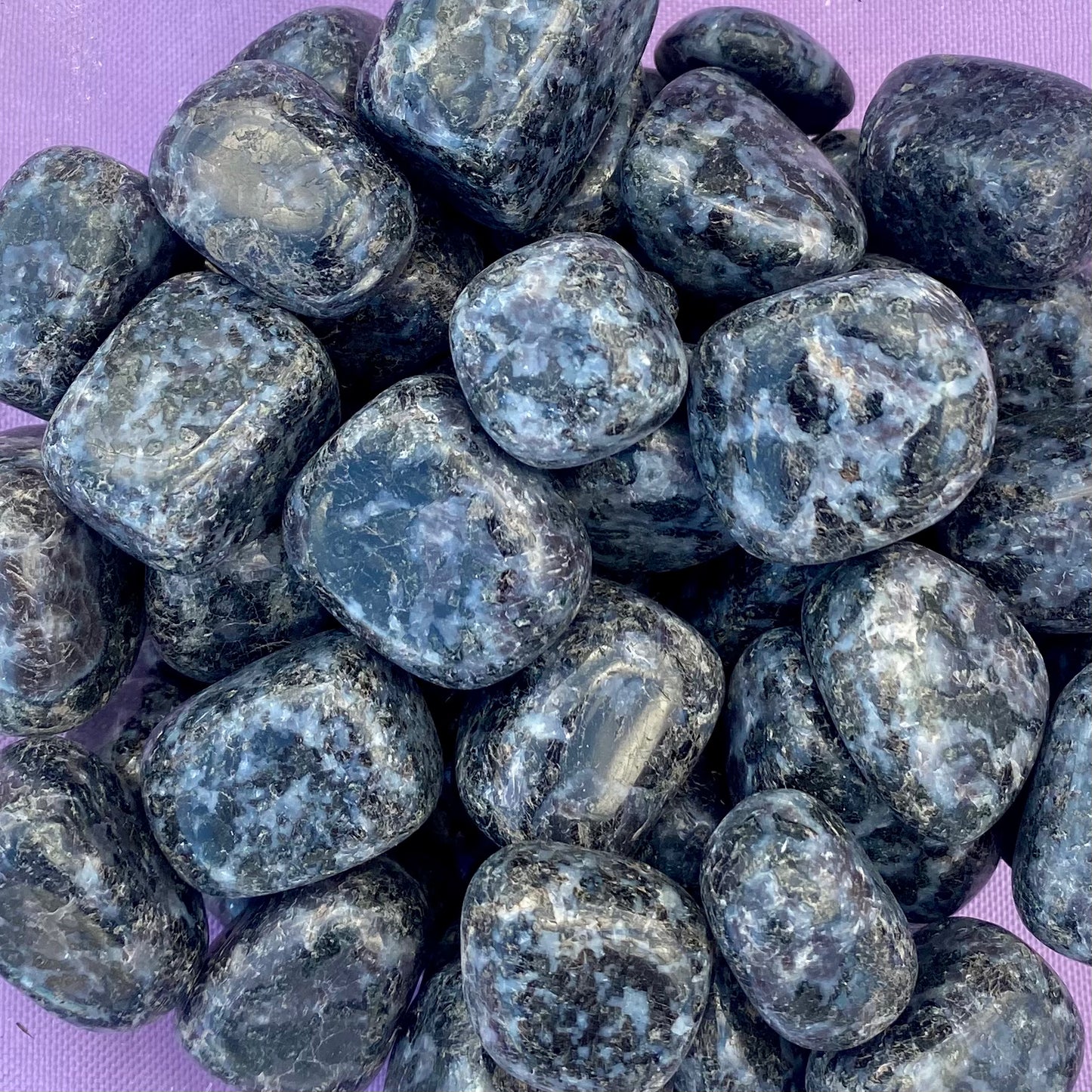 Indigo Gabbro (tumbled)