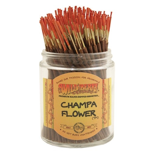 Champa Flower™ Shorties™