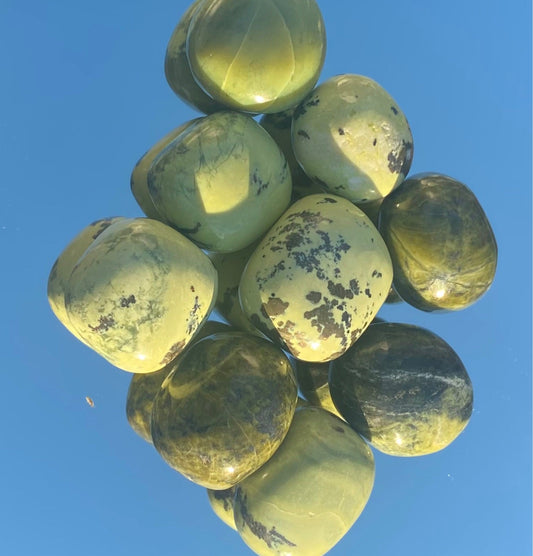 Serpentine (tumbled) - Celestial Wallflower
