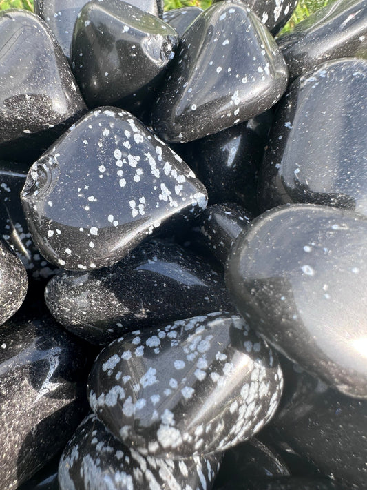 Snowflake Obsidian - Celestial Wallflower