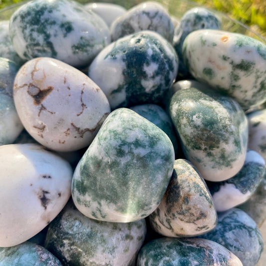 Tree Agate - Celestial Wallflower